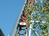 hershey_park_11.jpg