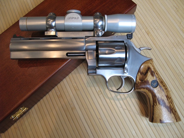 dan wesson