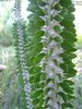 DSC01646.jpg