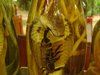 DSC02386.jpg